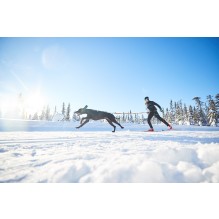 Løype Belte Unisex Black/Orange