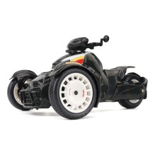 MODEL RYKER RALLY 1:6 RC OS