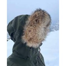 Hettekant Standard Finnraccoon