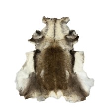 Reinsdyrskinn impregnert Stor